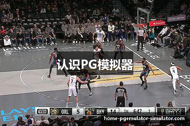 认识PG模拟器